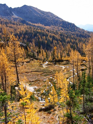 The braided streams of Emerald Basin were shining in the morning sunlight.